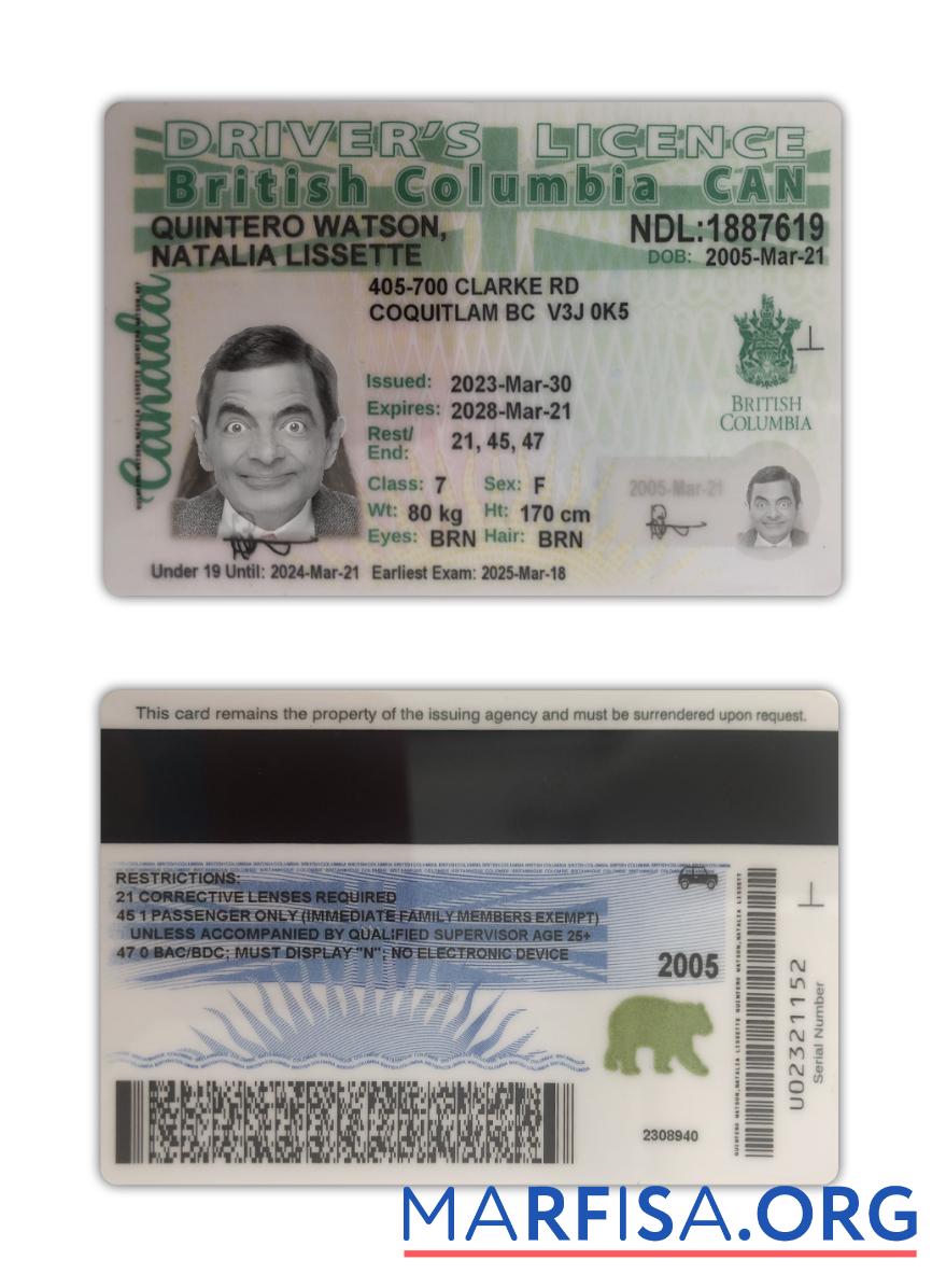 Printable Canada British Columbia driving license 2021 present example